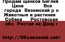 Продам щенков Биглей › Цена ­ 15 000 - Все города, Вяземский р-н Животные и растения » Собаки   . Ростовская обл.,Ростов-на-Дону г.